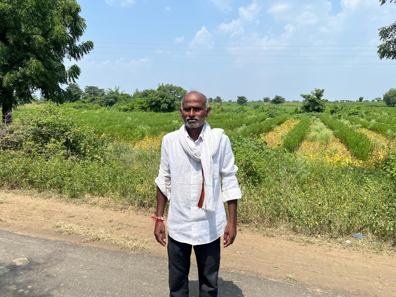 No Dussehra or Diwali here: Yavatmal’s dry fields leave farmers counting losses