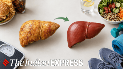 liver