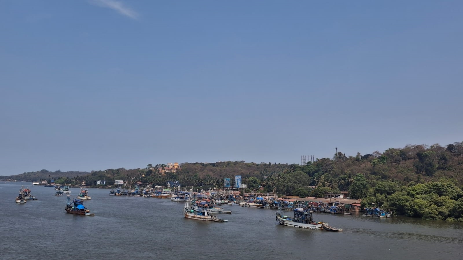 Goa’s Mandovi river full of faecal coliform, study warns