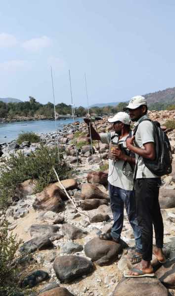 Cauvery fish