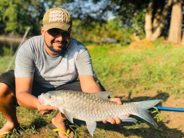 cauvery fish