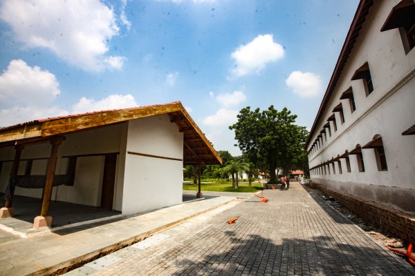 A good part of that pathway is already complete. It is lined with baobabs from Madagascar, black neem from Thailand and exotic flora such as Mayan spinach from Mexico and bird-of-paradise.