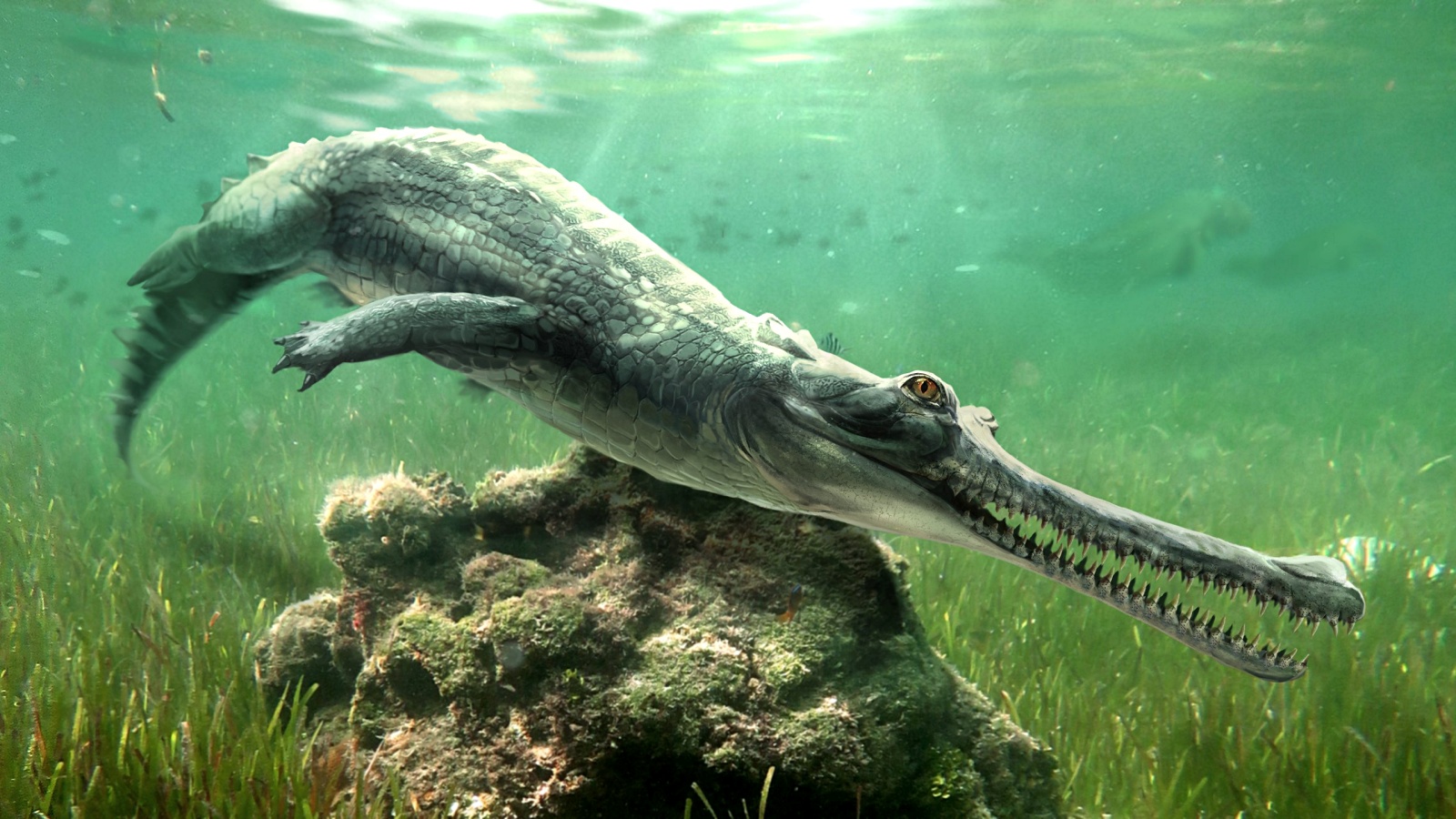 Sphinx rock fossils reveal ancient gharial-like crocodile