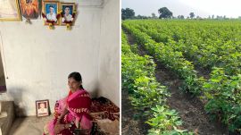 Nima Malekar sits on a bed in the hall of her home, pictures of her two sons hang on the wall above, while that of her husband is placed on the floor; The agricultural land of Malekars that shows no water retention. (Express Photos by Ankita Deshkar)