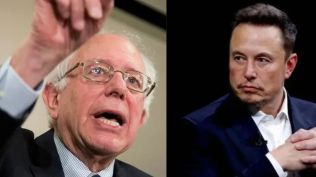 bernie sanders, elon musk