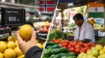 Norway vegetable prices