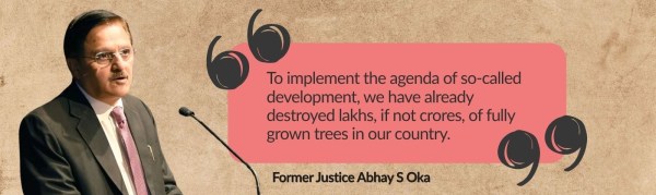 Oka trees development constitution development