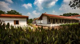 A good part of that pathway is already complete. It is lined with baobabs from Madagascar, black neem from Thailand and exotic flora such as Mayan spinach from Mexico and bird-of-paradise.