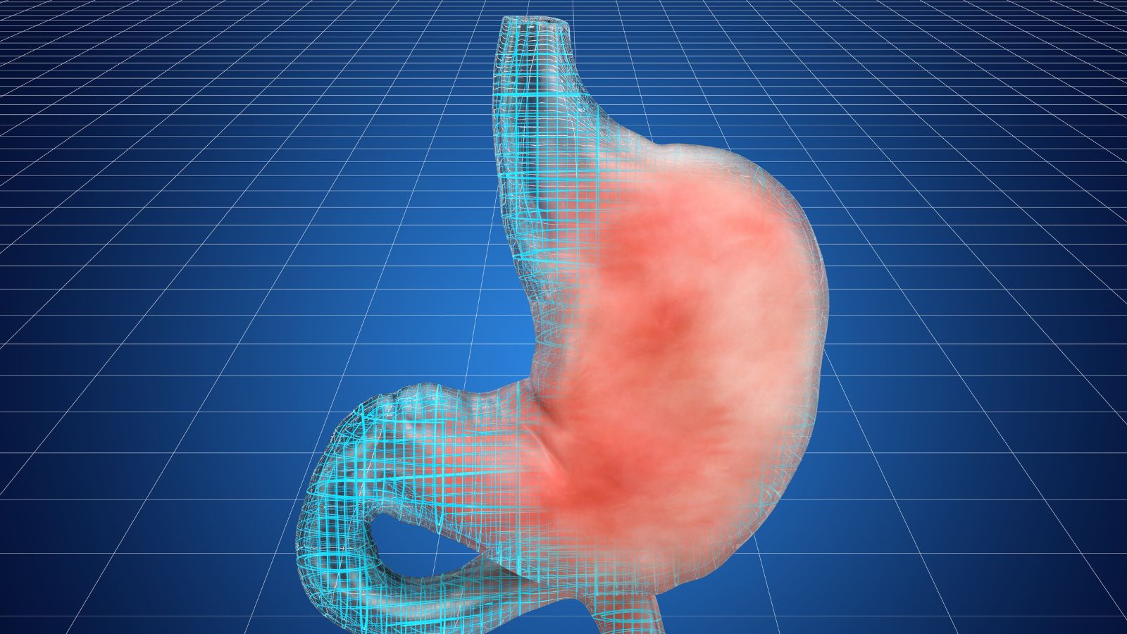 Gut Bacterium Shows Statin-Like Cholesterol Effects in Mice