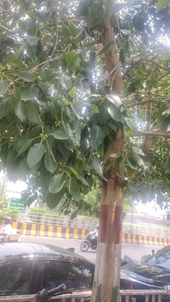 Pilkhan