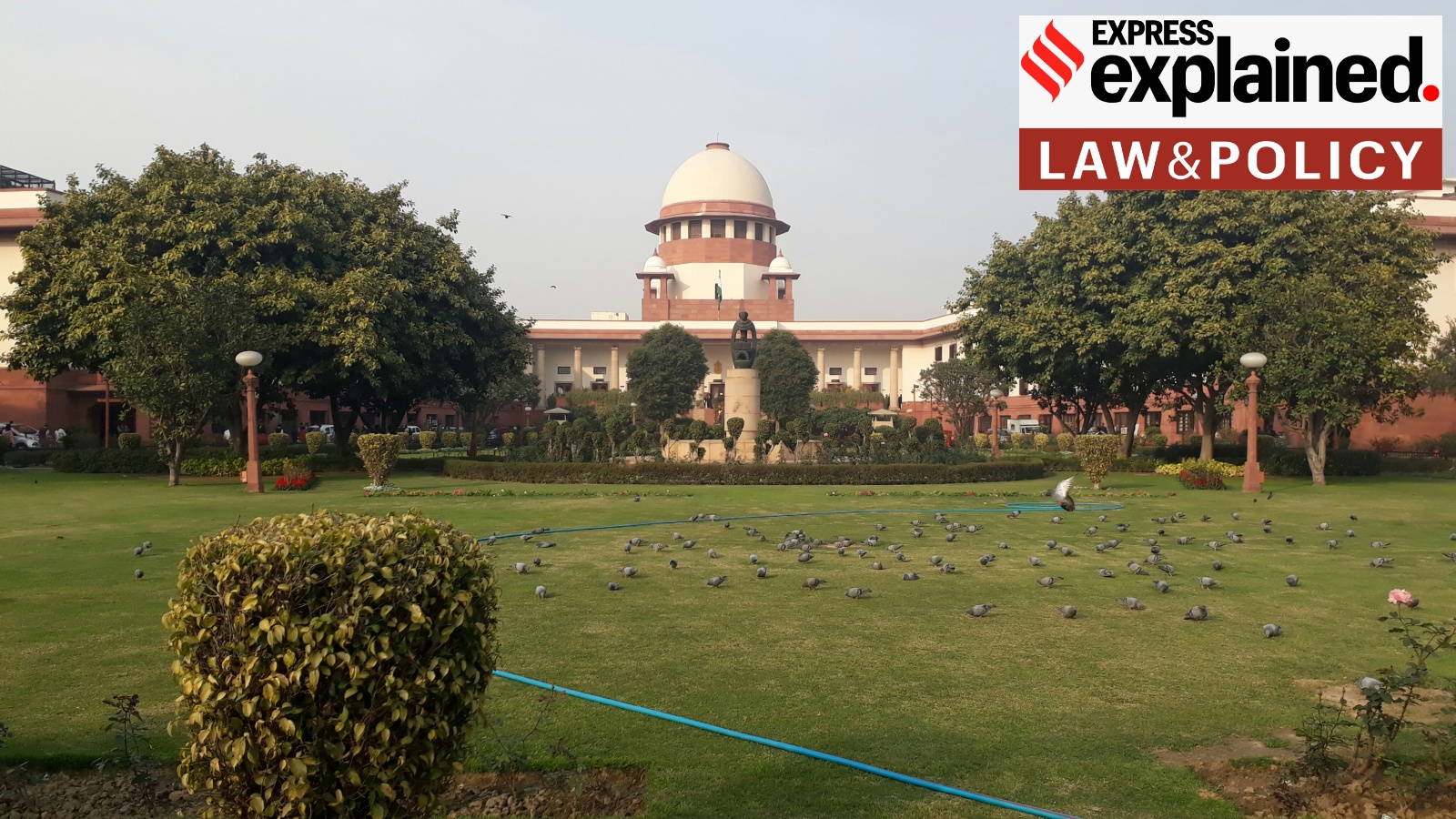 Why the Supreme Court may be having too many Special Leave Petitions