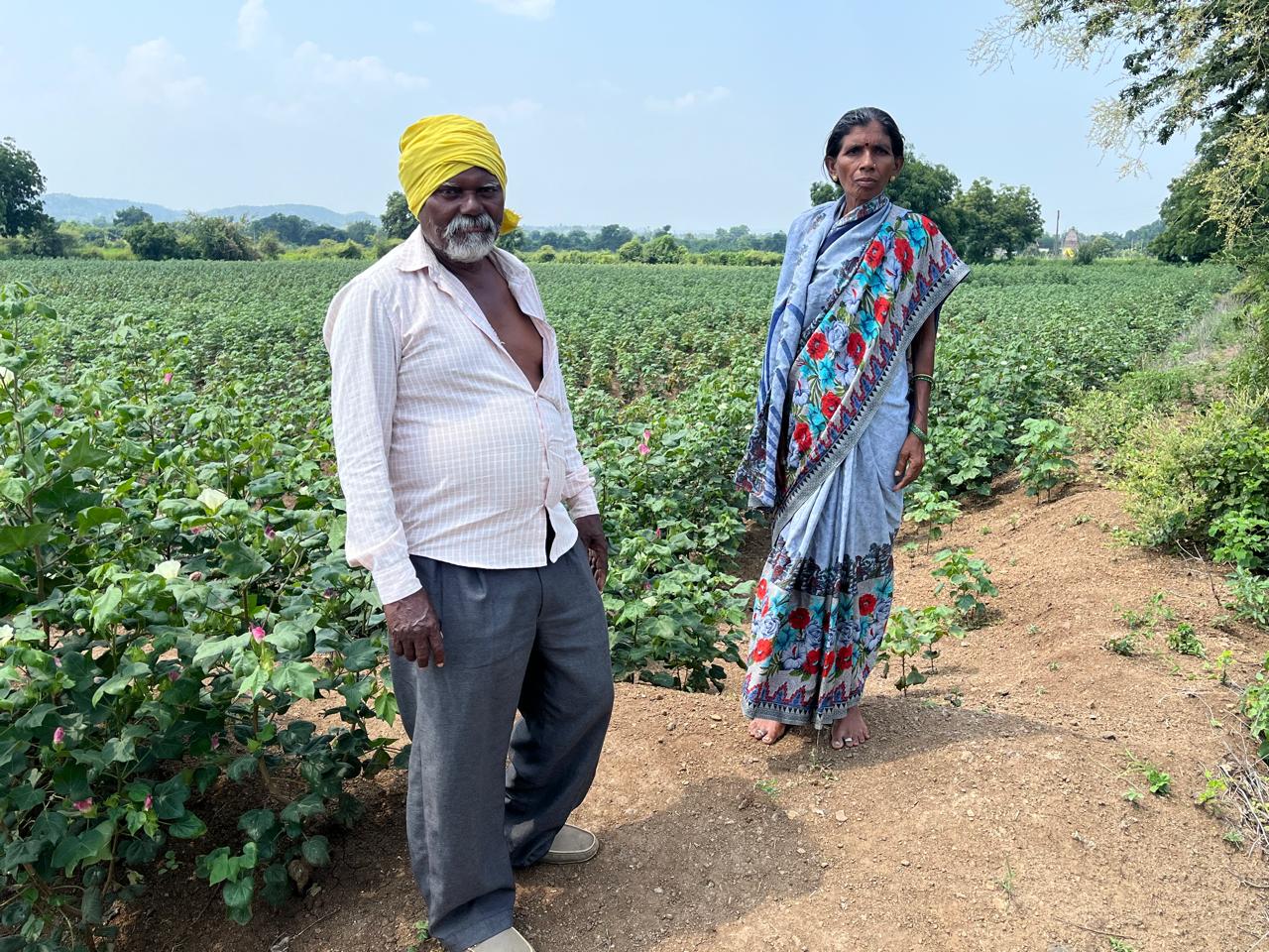 No Dussehra or Diwali here: Yavatmal’s dry fields leave farmers counting losses