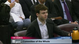 NYC Council hearing