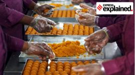 Workers preparing laddoos for election results celebration at a workshop of a big sweet shop in Lucknow on Wednesday. Express Photo by Vishal Srivastav. 22.05.2019.