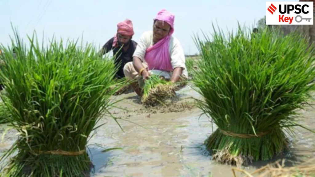 UPSC Key: Farmer ID, OBC creamy layer row and UAE Oil spill