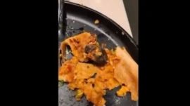 rat in dosa tukaram mundhe FDA