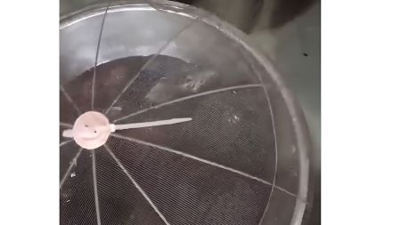 rat found in gulab jamuns FDA maharashtra