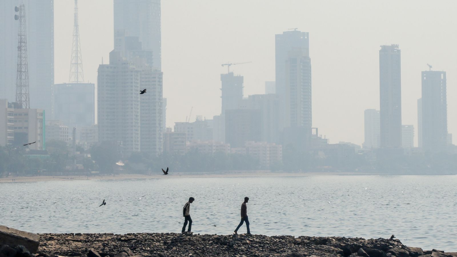 Why is Mumbai seeing a record-breaking heatwave? Madhya Pradesh has the answer
