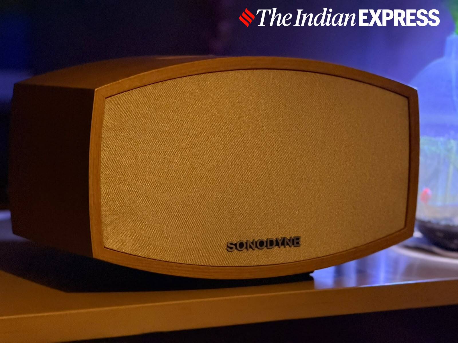The Sonodyne Malhar G2 brings a classic wooden finish and a warm, room-filling sound to the living space.