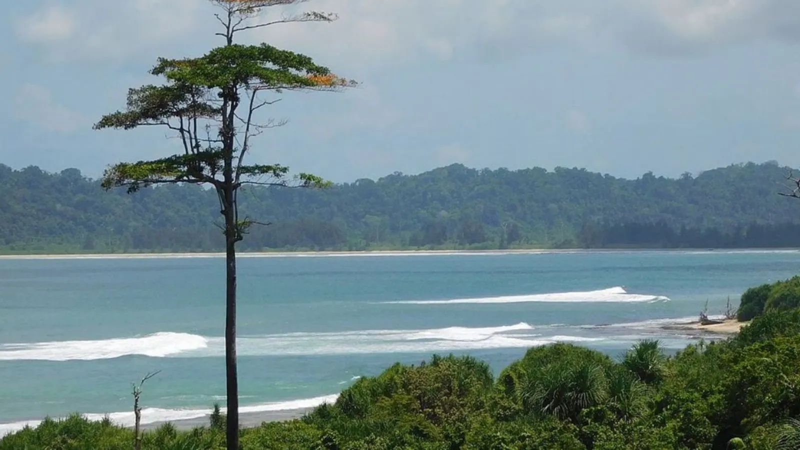 Magnitude 5.0 earthquake hits Andaman and Nicobar Islands