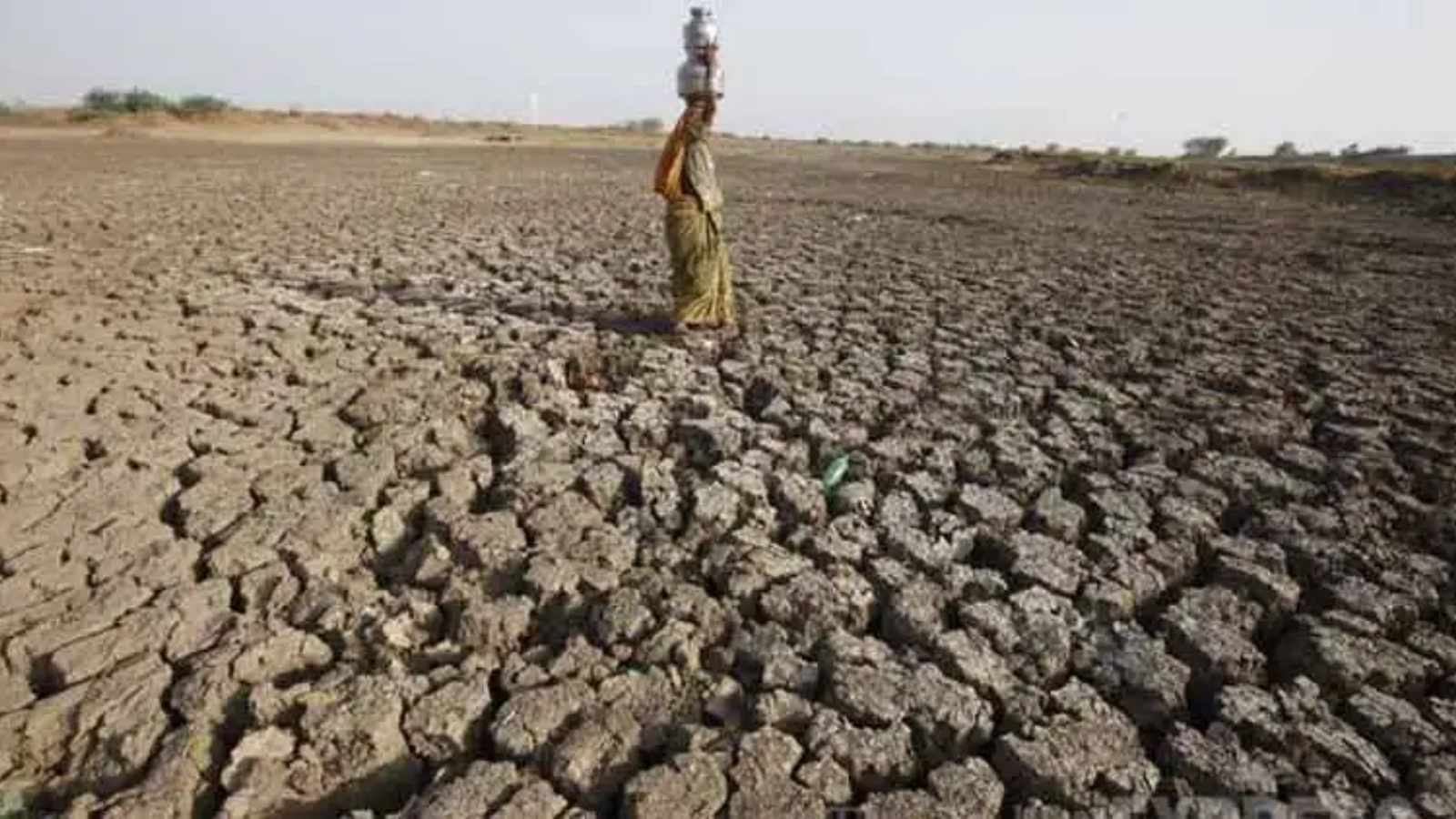 Hit by El Niño, Devbhoomi Dwarka ends up as driest district in Gujarat