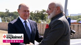 India energy security