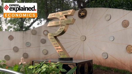 RBI investments
