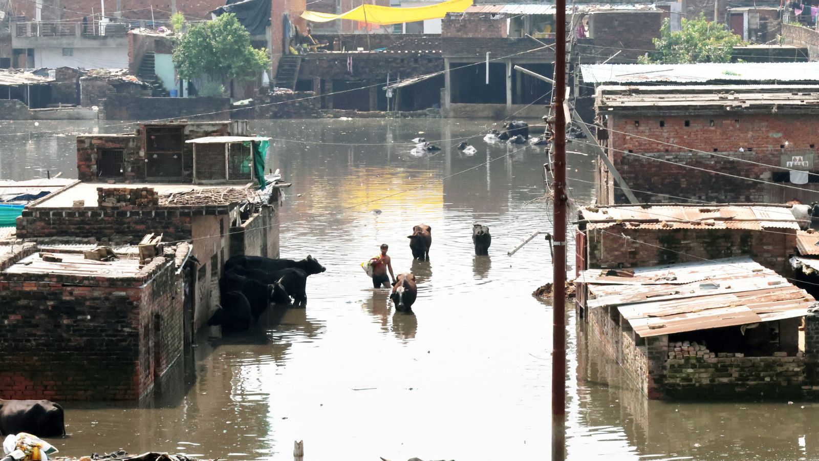 Why parts of Lucknow are flooded despite no rain for days – national Why parts of Lucknow are flooded despite no rain for days – national