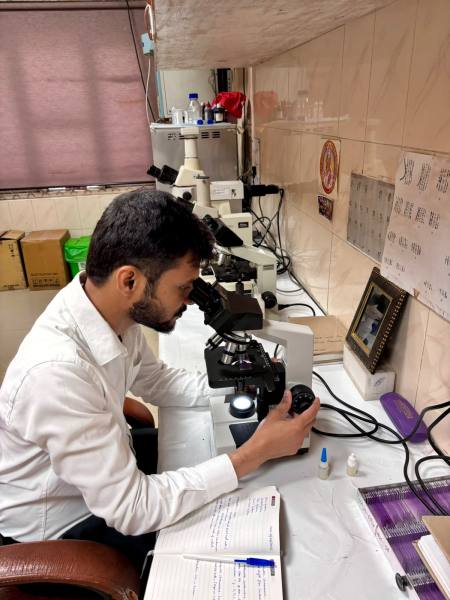 lab