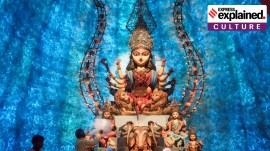 A Durga Puja pandal in Kolkata's Park Street. (PTI)