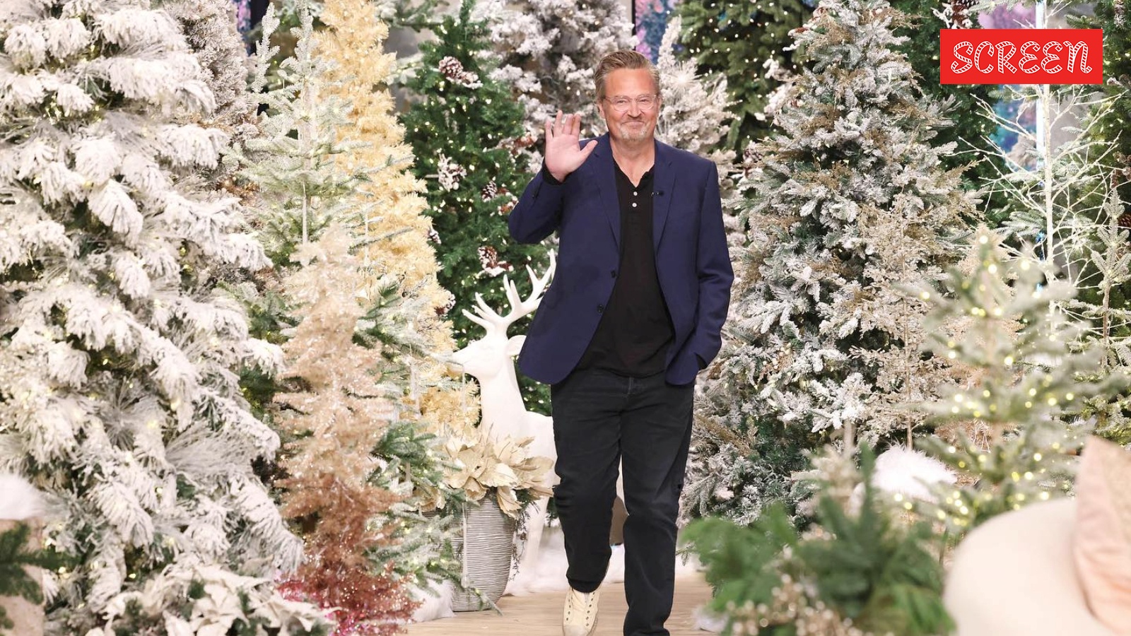 Matthew Perry's sister recalls his 2018 coma in Netflix documentary