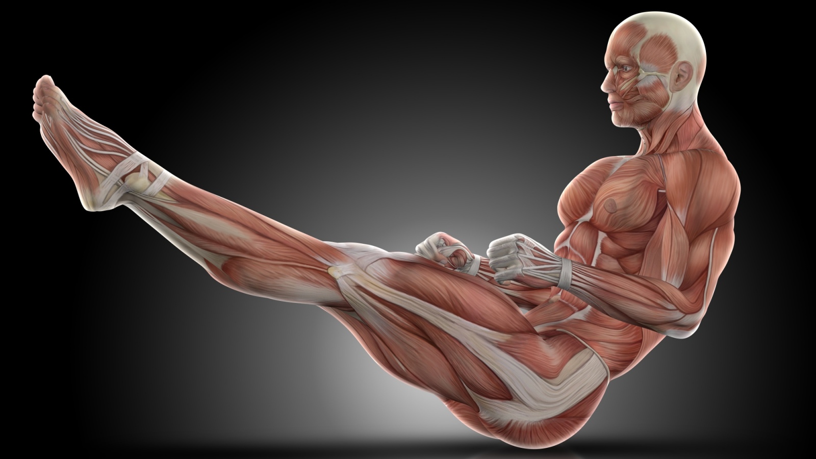 protein bones 1