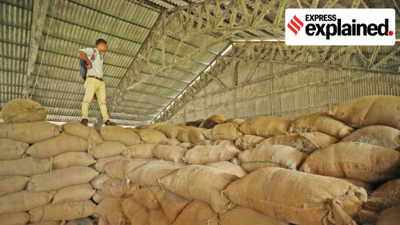 The immediate concern is that the backlog is carrying forward: old stocks are not moving out while new paddy continues arriving. (Express photo)