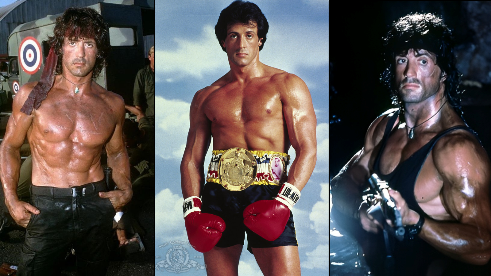 Sylvester Stallone says he became bulimic while chasing ‘Rocky’, ‘Rambo’ physique: ‘2.6 per cent body fat’ – national Sylvester Stallone says he became bulimic while chasing ‘Rocky’, ‘Rambo’ physique: ‘2.6 per cent body fat’ – national