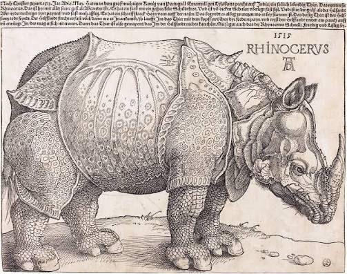 'The Rhinoceros', a woodcut by the artist Albrecht Dürer. (Wikimedia Commons)