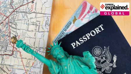 The US is suspending several large Indian IT firms from a key programme that allows skilled foreign workers to gain ‌permanent residency. (Magnific)