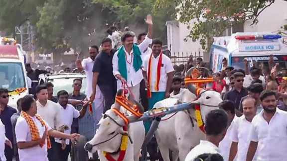 tamil nadu, vijay